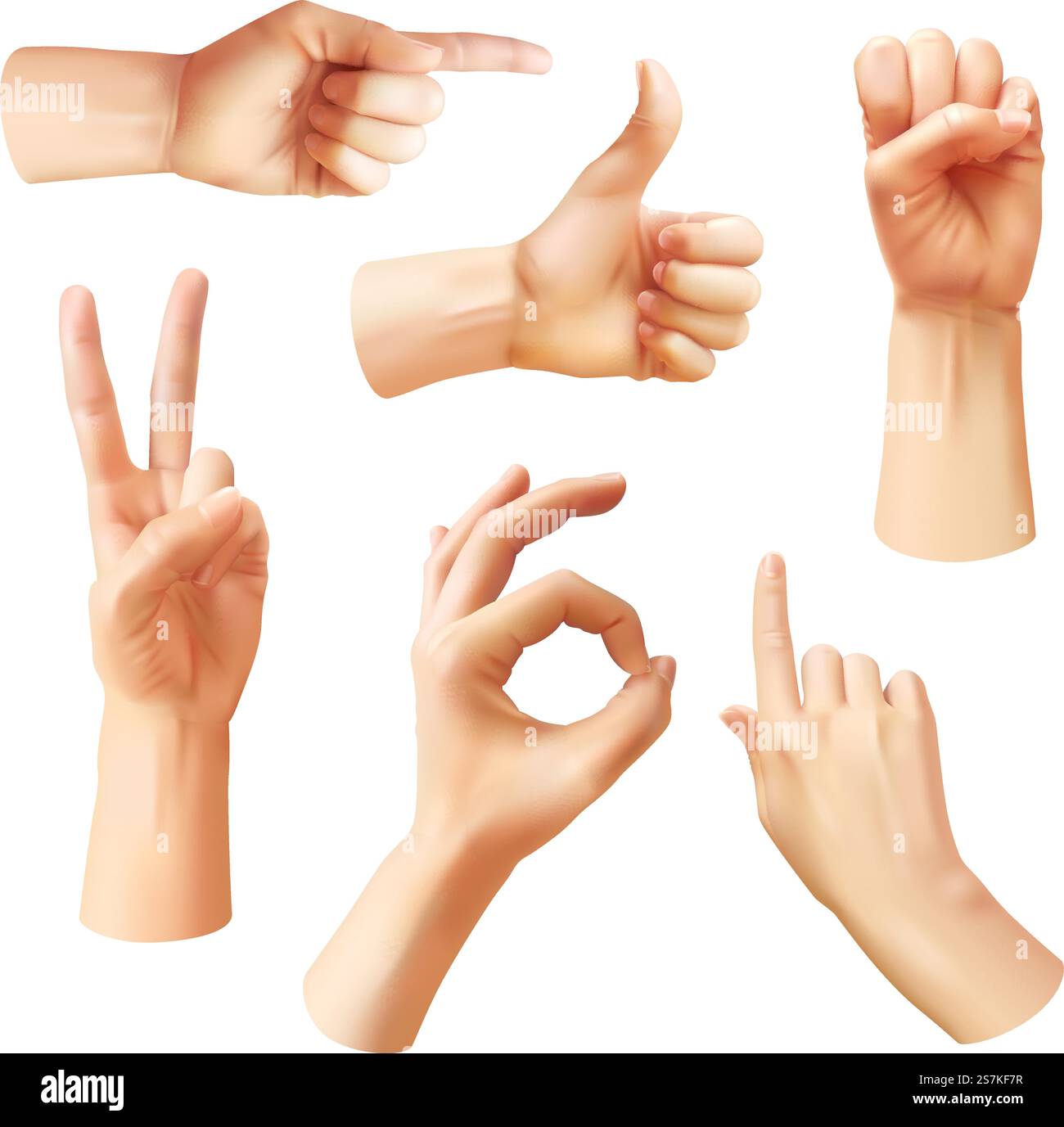 Main réaliste. Divers gestes des mains humaines, OK, pouce vers le haut et doigt pointant, pincer et poing. Geste optimiste du bras, symboles isolés du vecteur de communication. Main réaliste. Divers gestes des mains humaines, OK, pouce vers le haut et doigt pointant, pincer. Geste optimiste du bras, symboles vectoriels de communication Illustration de Vecteur
