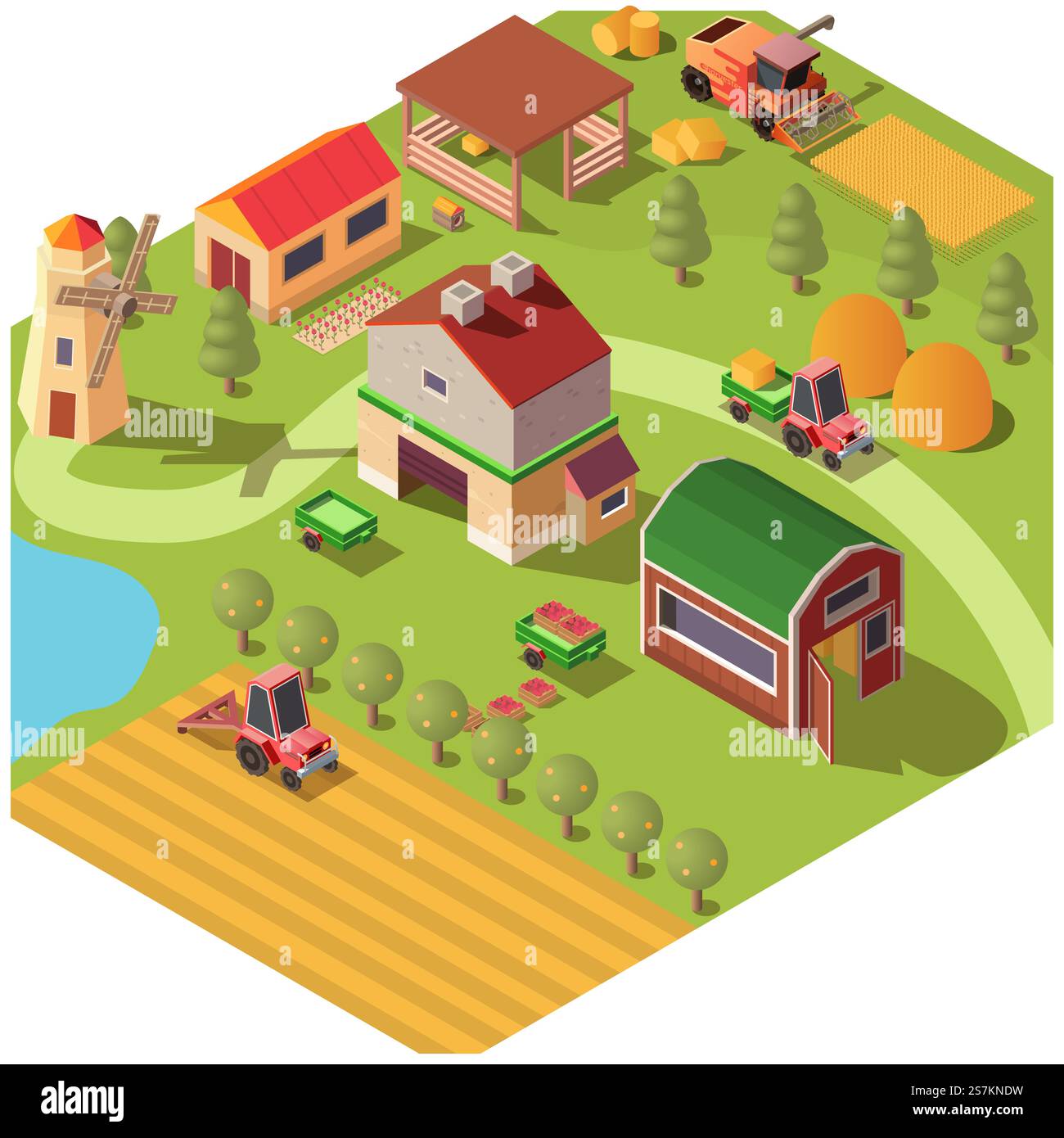Ferme isométrique ou cour de ranch moderne avec dépendances, moulin à vent, jardin fruitier et champ de céréales. Moissonneuse-batteuse battage du maïs ou du blé, charrue du sol, transport du tracteur. illustration vectorielle 3d. Ferme isométrique ou cour de ranch avec dépendances Illustration de Vecteur