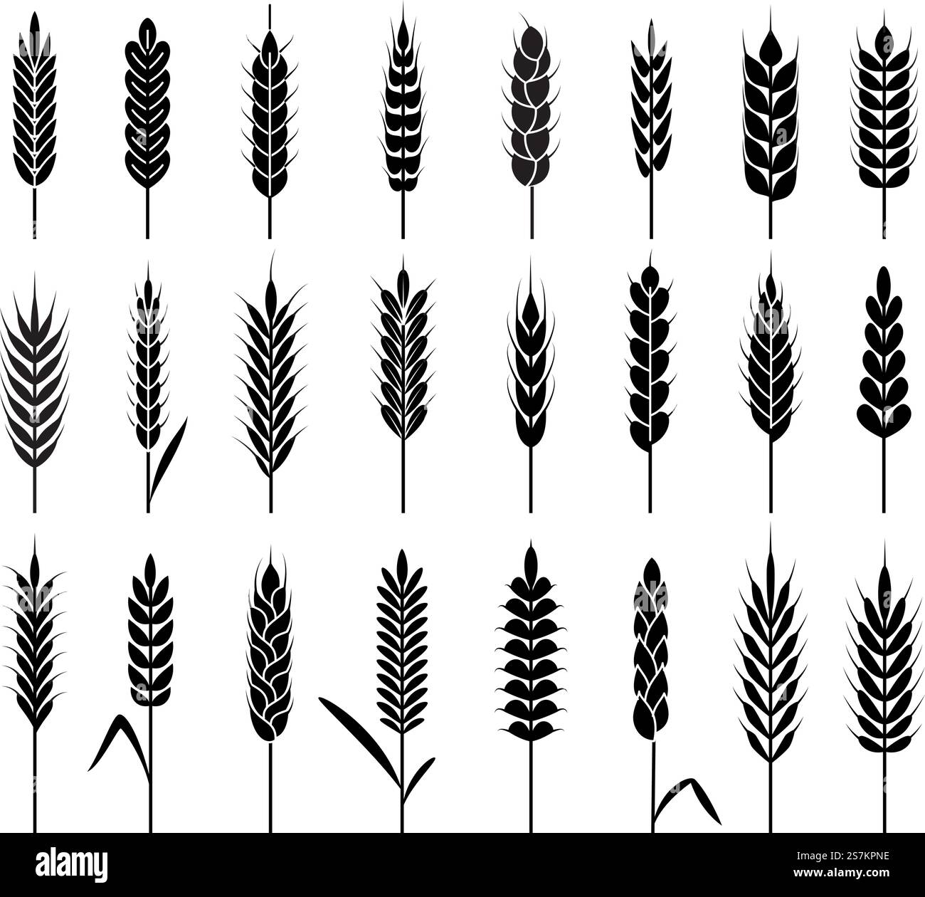 Icônes d'épis de blé. Récolte des céréales de l'agriculture biologique. Tige grain riz et blé, maïs et avoine, orge vecteur de produit naturel vecteur de graines de seigle logos de récolte. Icônes d'épis de blé. Récolte des céréales de l'agriculture biologique. Riz et blé de grain de tige, maïs et avoine, logos vectoriels de produit naturel d'orge Illustration de Vecteur