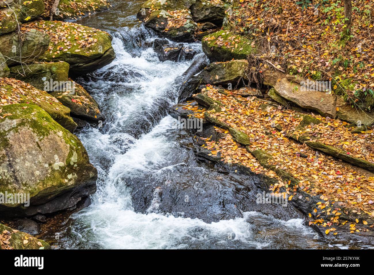 Mud Creek avec de l'eau en cascade et des feuilles d'automne tombées au sommet d'Estatoah Falls dans Sky Valley, Géorgie, près de Highlands, Caroline du Nord. (ÉTATS-UNIS) Banque D'Images