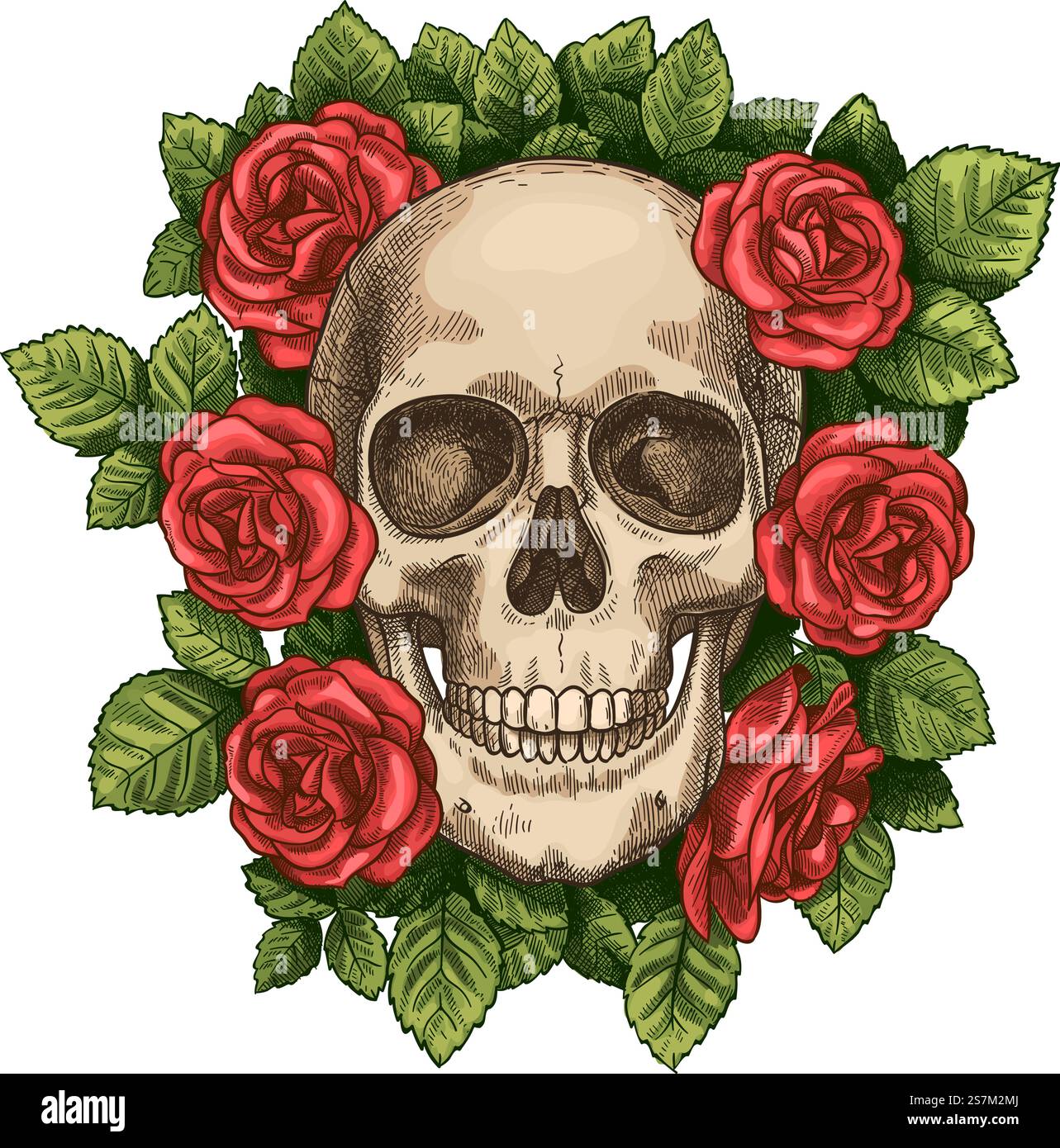 Crâne et roses. Tête de squelette morte et fleurs rouges, graphique de tatouage gothique dessiné à la main. Vintage effrayant halloween Death sketch vecteur symbole. Fleur colorée et feuillage vert autour de la tête. Crâne et roses. Tête de squelette morte et fleurs rouges, graphique de tatouage gothique dessiné à la main. Vintage effrayant halloween Death sketch vecteur symbole Illustration de Vecteur