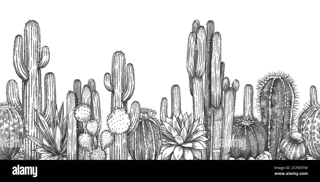 Cactus dessinés à la main. Croquis agave succulente de dessin animé, saguaro et poire à feuilles épineuses avec . Plantes désertiques ou de sécheresse, illustration vectorielle horizontale botanique de gravure de motif sans couture.. Cactus dessinés à la main. Esquissez de succulents agaves, saguaro et barbarie. Plantes du désert, vecteur de gravure de modèle sans couture horizontal botanique. Illustration de Vecteur