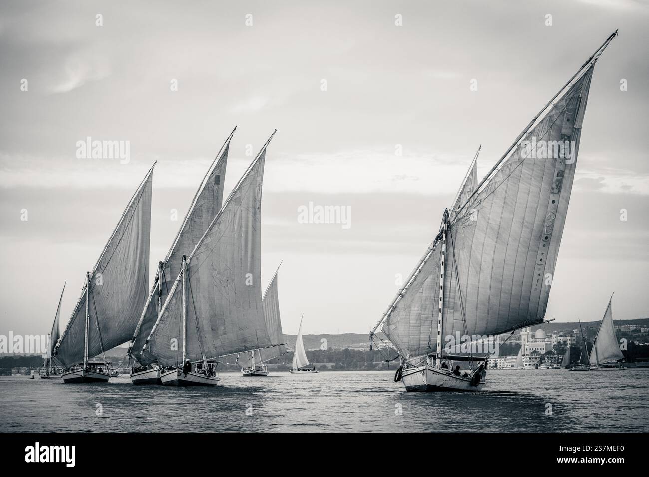 Felucca naviguant sur le nil près d'Assouan, Egypte Banque D'Images