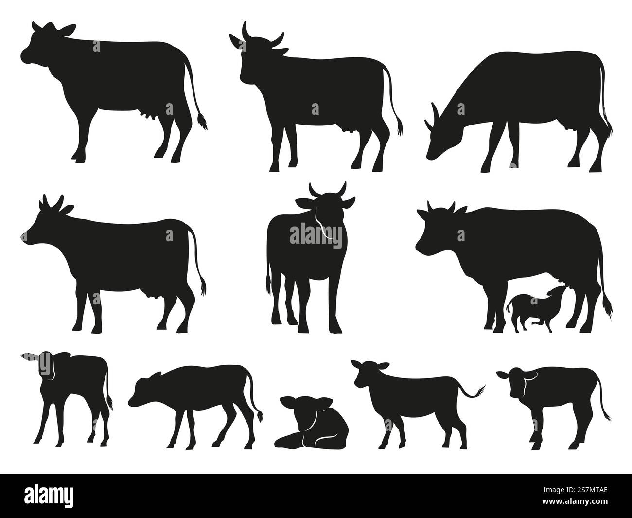 Silhouette de vache. Vaches noires et veaux mammifères. pictogramme. Pictogramme de vache d'élevage ou vaches laitières domestiques de campagne, veaux et taureaux. Icônes vectorielles isolées définies. Silhouette de vache. Ensemble d'icônes vectorielles de vaches noires et de veaux mammifères Illustration de Vecteur
