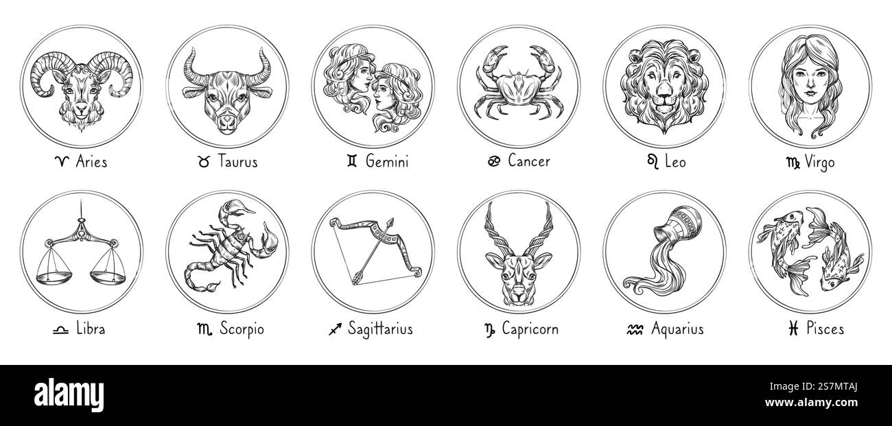 Signes du zodiaque. Sketch cancer, Scorpion et poissons. Taureau, Vierge et Capricorne dessinés à la main. Bélier, Lion et Sagittaire. Horoscope Gémeaux, Balance et Aquarius. Illustrations de symboles vectoriels isolés. Signes du zodiaque. Sketch cancer, Scorpion et poissons. Taureau, Vierge et Capricorne dessinés à la main. Bélier, Lion et Sagittaire. Illustrations vectorielles horoscope Gémeaux, Balance et Aquarius Illustration de Vecteur