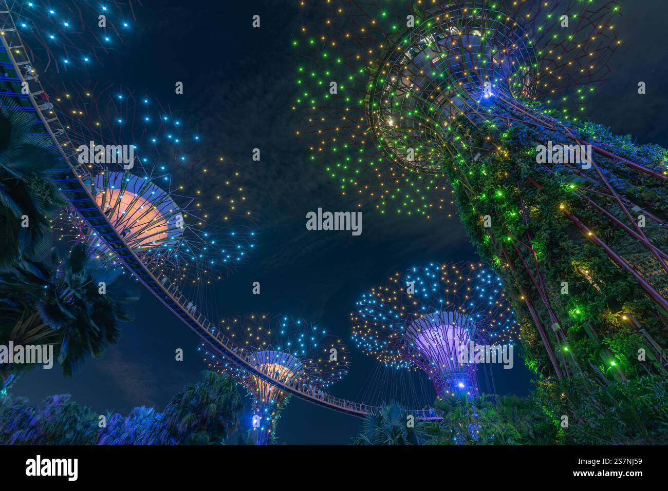 Vue imprenable sur les structures d'arbres illuminées la nuit, mettant en valeur des couleurs vibrantes et une atmosphère enchanteresse, parfait pour les amoureux de la nature et les voyageurs Banque D'Images