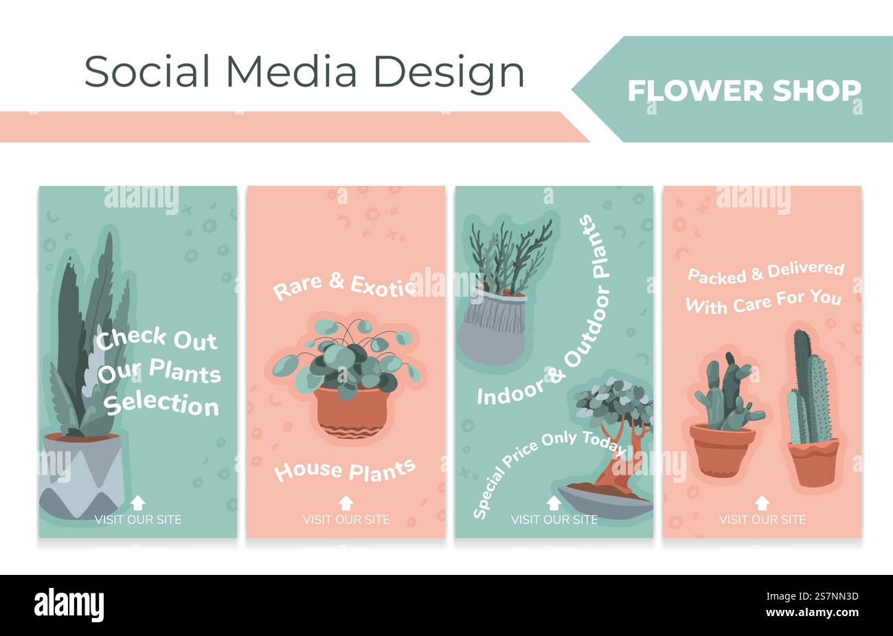 Jeu d'histoires de médias sociaux pour la publicité de magasin de fleurs. Rare, exotique offre de plante de maison à la collection de page Web de réseau, illustration vectorielle. Cactus plat et succulentes avec prix spécial. Jeu d'histoires de médias sociaux pour la publicité de magasin de fleurs Illustration de Vecteur