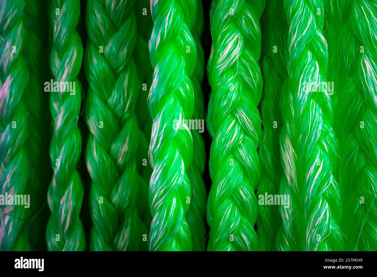 Tressage cheveux Extensions tresses synthétiques couleurs de cheveux. cheveux verts pour styliste. Salon de beauté Banque D'Images Tressage cheveux Extensions tresses synthétiques couleurs de cheveux. cheveux verts pour styliste. Salon de beauté Banque D'Images