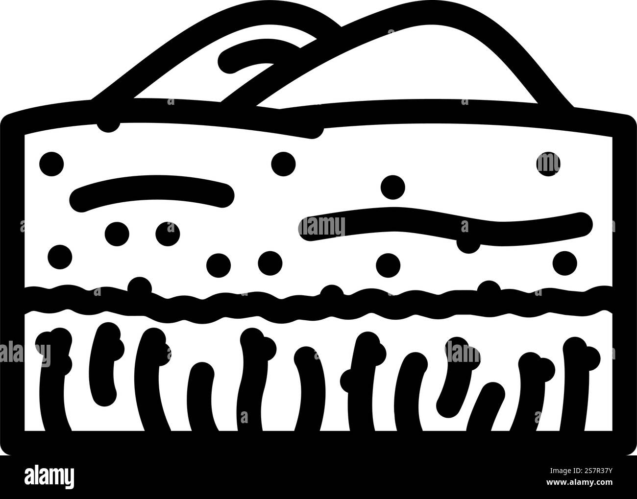 vecteur d'icône de ligne jaune d'orge de champ. panneau jaune d'orge de champ. illustration noire du symbole de contour isolé. illustration vectorielle d'icône de ligne jaune d'orge de champ Illustration de Vecteur