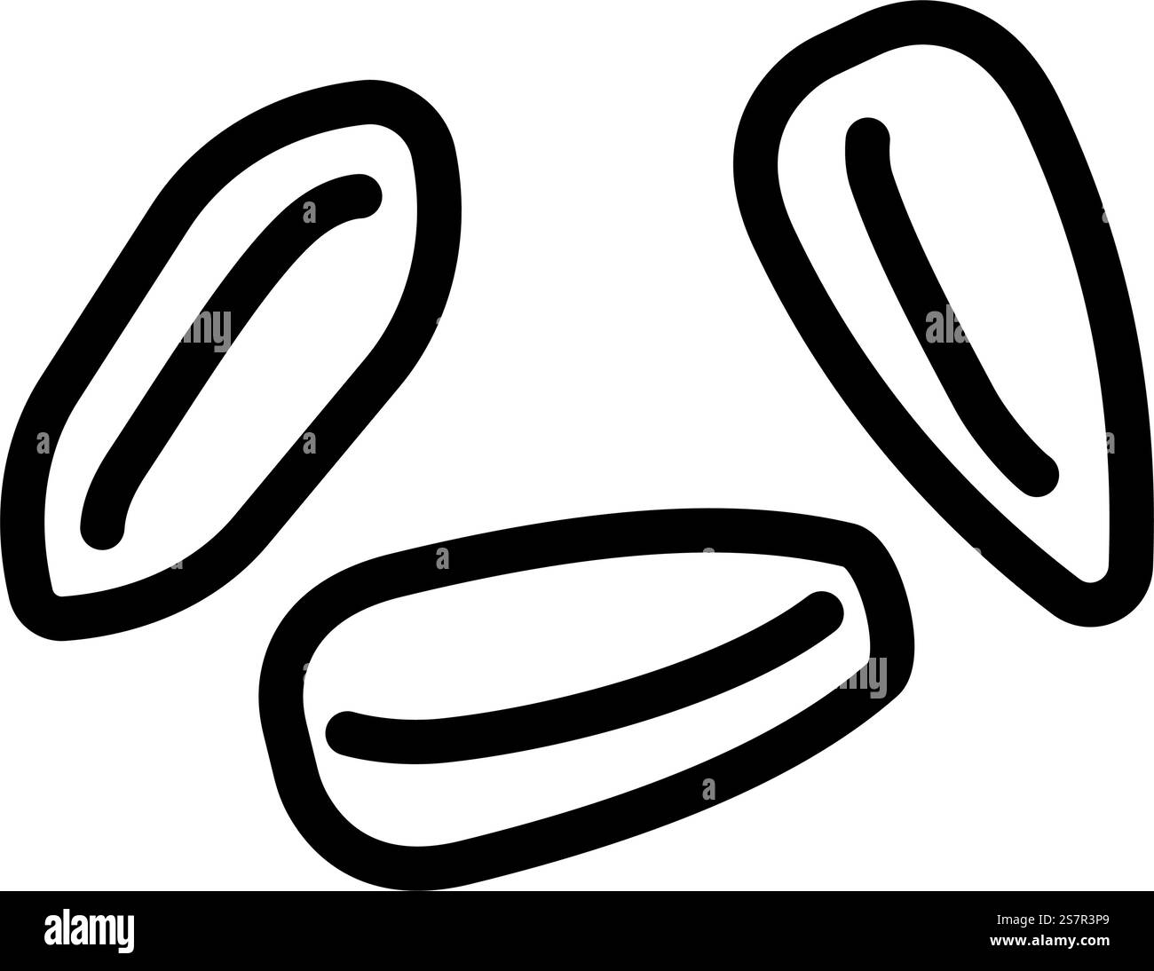 vecteur d'icône de ligne pelée de grain d'orge. enseigne pelée pour grains d'orge. illustration noire du symbole de contour isolé. illustration vectorielle d'icône de ligne pelée de grain d'orge Illustration de Vecteur