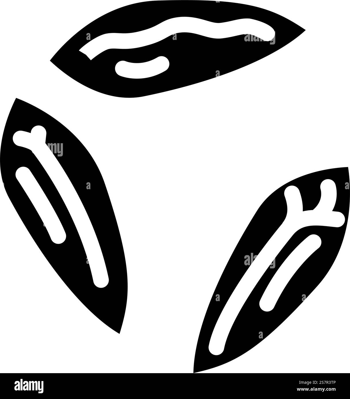 vecteur d'icône de glyphe non pelé de grain d'orge. signe de grain d'orge non pelé. illustration de symbole isolé. illustration vectorielle d'icône de glyphe non pelée de grain d'orge Illustration de Vecteur