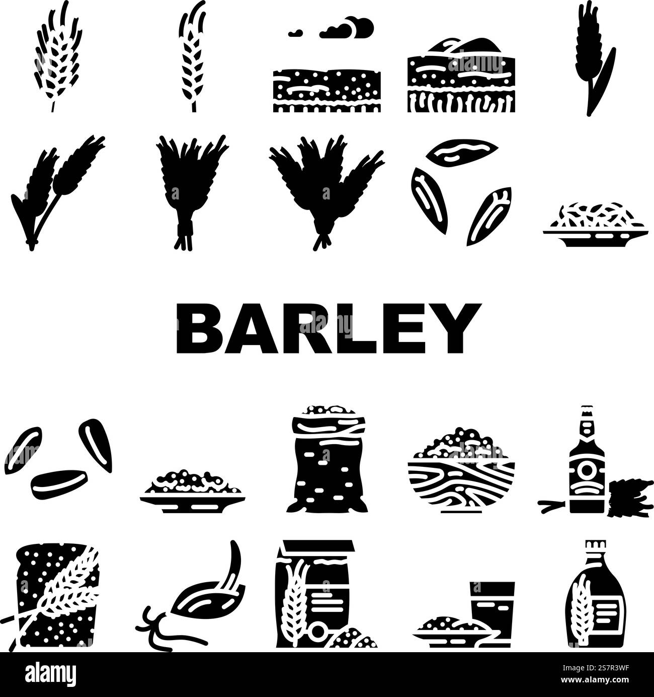 vecteur d'ensemble d'icônes de blé de grain d'orge. céréales de seigle, plante d'oreille, graine de récolte, ferme alimentaire, pain d'agriculture, récolte, avoine orge grain blé illustrations de pictogramme de glyphe. vecteur d'ensemble d'icônes de blé de grain d'orge Illustration de Vecteur
