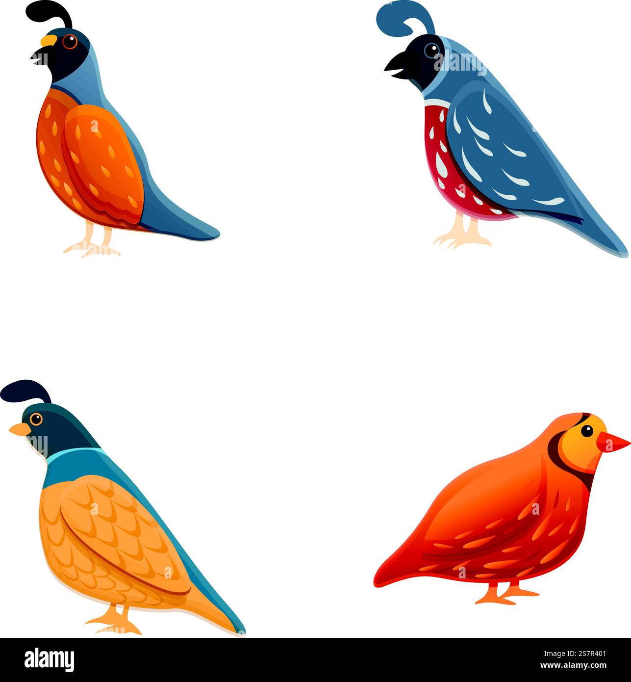 Partridge icônes définissent le vecteur de dessin animé. Oiseau sauvage panaché. Oiseau de Ptarmigan, ornithologie. Partridge icônes définissent le vecteur de dessin animé. Oiseau sauvage panaché Illustration de Vecteur