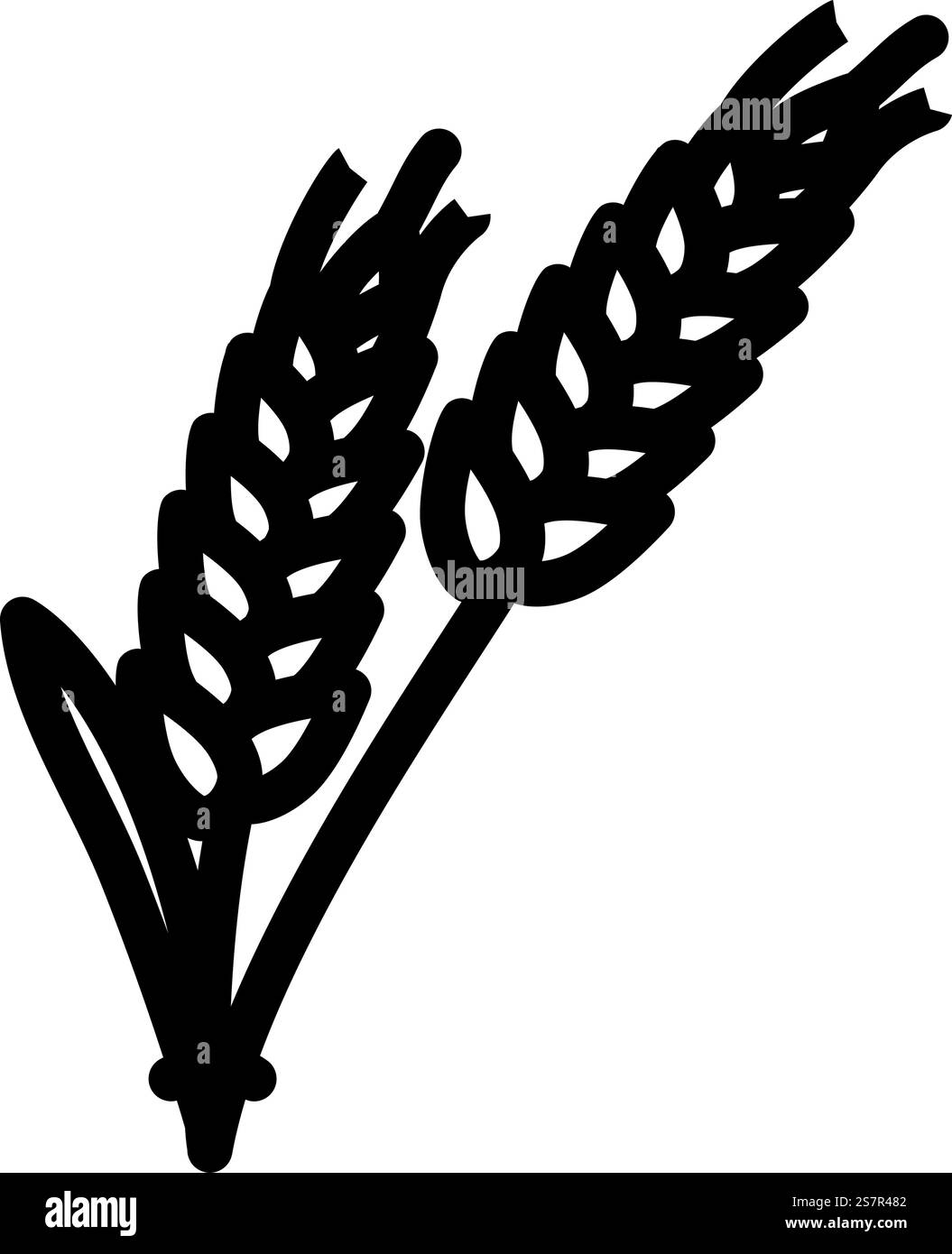 vecteur d'icône de ligne de grain d'orge d'oreille. panneau de grain d'orge d'oreille. illustration noire du symbole de contour isolé. illustration vectorielle d'icône de ligne de grain d'orge d'oreille Illustration de Vecteur