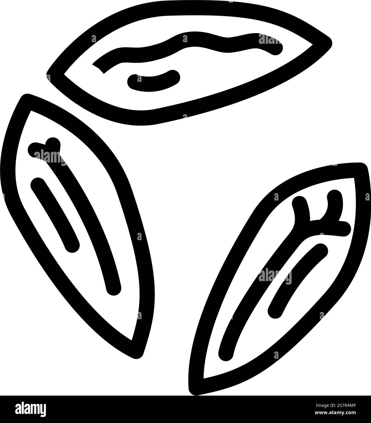 vecteur d'icône de ligne non pelée de grain d'orge. signe de grain d'orge non pelé. illustration noire du symbole de contour isolé. illustration vectorielle d'icône de ligne non pelée de grain d'orge Illustration de Vecteur