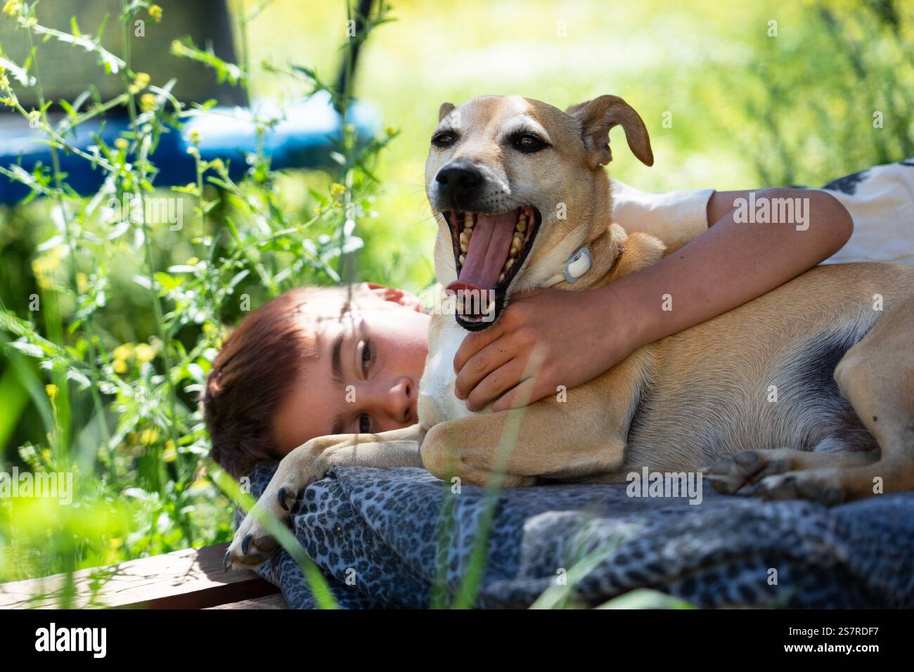 Enfant embrassant son chien bâillant tout en étant allongé sur une couverture à l'extérieur dans la nature Banque D'Images
