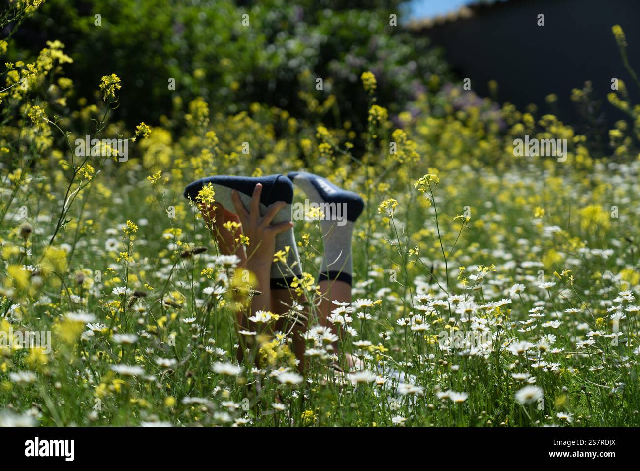 Enfant allongé dans un champ de fleurs sauvages, tenant les pieds en l'air, profitant d'une journée d'été Banque D'Images