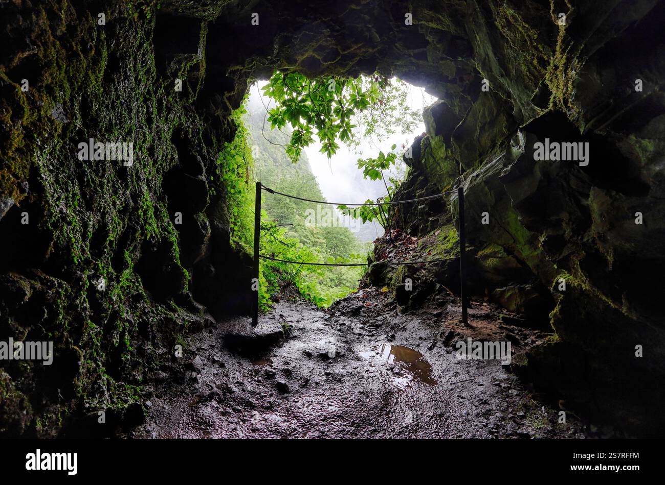Sentier de randonnée et tunnel le long et à travers la montagne volcanique et sur les canaux d'irrigation typiques de Levada de l'île de Madère Banque D'Images