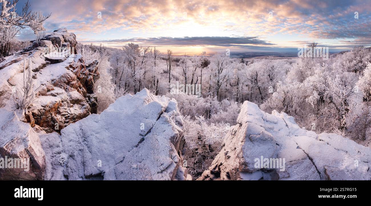 Panorama hiver paysage avec des arbres couverts de forêts, la neige et le lever du soleil. winterly matin d'un jour nouveau. violet paysage d'hiver avec le coucher du soleil, vue panoramique v Banque D'Images