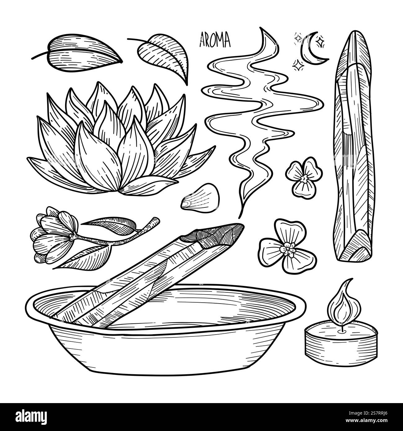 Les bâtons de bois aromatiques palo santo encens et fleurs de lotus créent une ambiance apaisante dans cette illustration inspirée du spa. Idéal pour les blogs de bien-être et aromat Banque D'Images