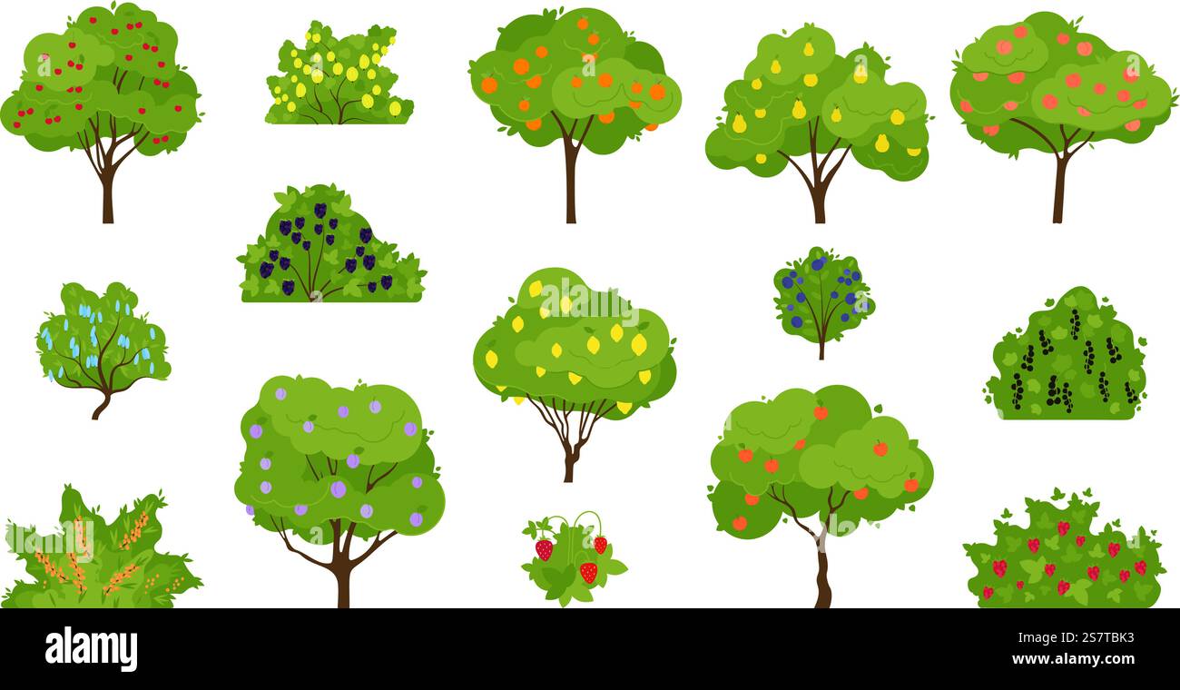 Récoltez l'arbre fruitier, les arbres fruitiers poussant et le buisson avec des baies. Produits de jardinage frais biologiques, abricots et pêches, pommes et prunes, ensemble vecteur décent d'illustration d'arbre fruitier de récolte. Récoltez l'arbre fruitier, les arbres fruitiers poussant et le buisson avec des baies. Produits de jardinage frais biologiques, abricots et pêches, pommes et prunes, ensemble décent de vecteurs Illustration de Vecteur
