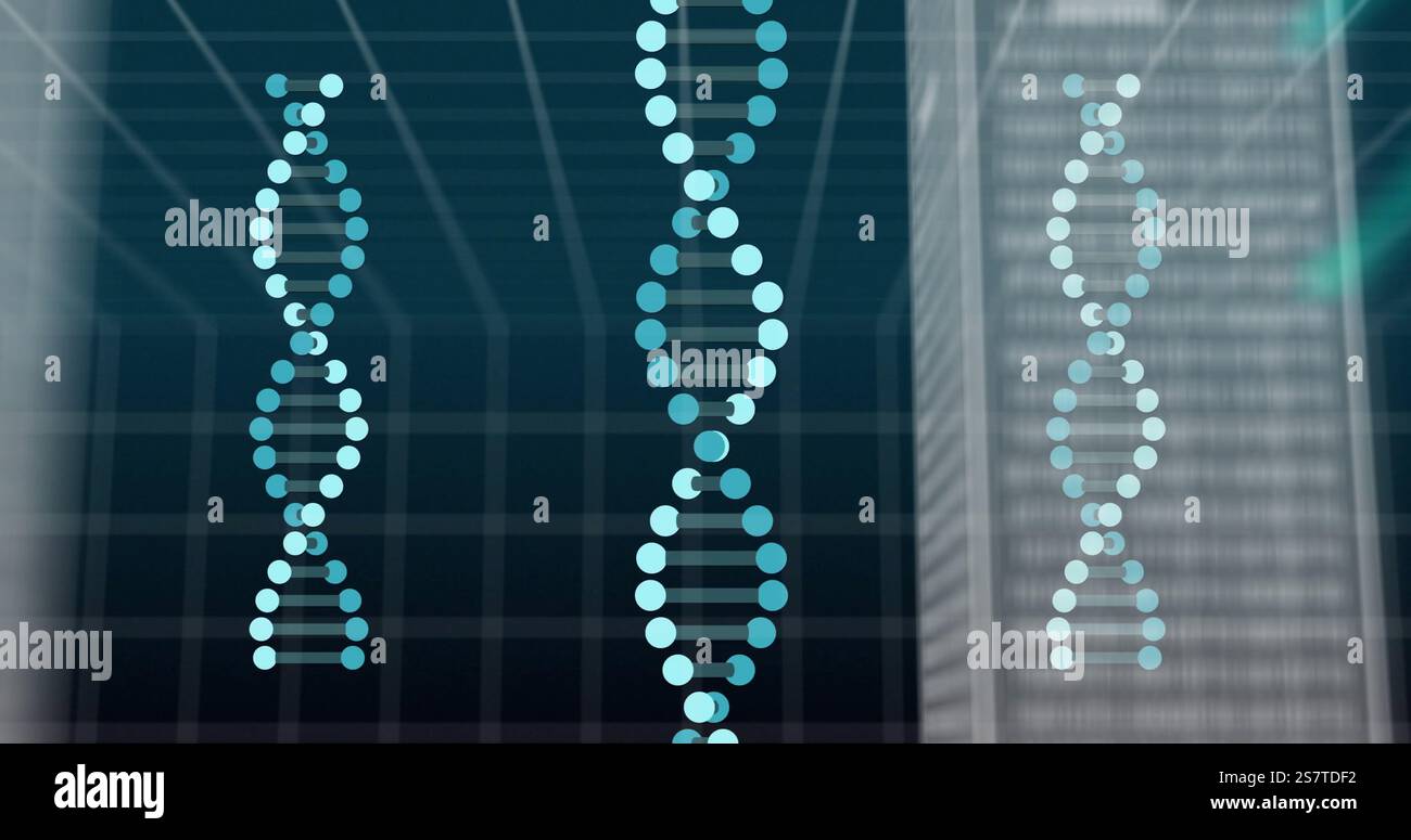 Image du traitement de données numériques sur des brins d'adn en rotation Banque D'Images