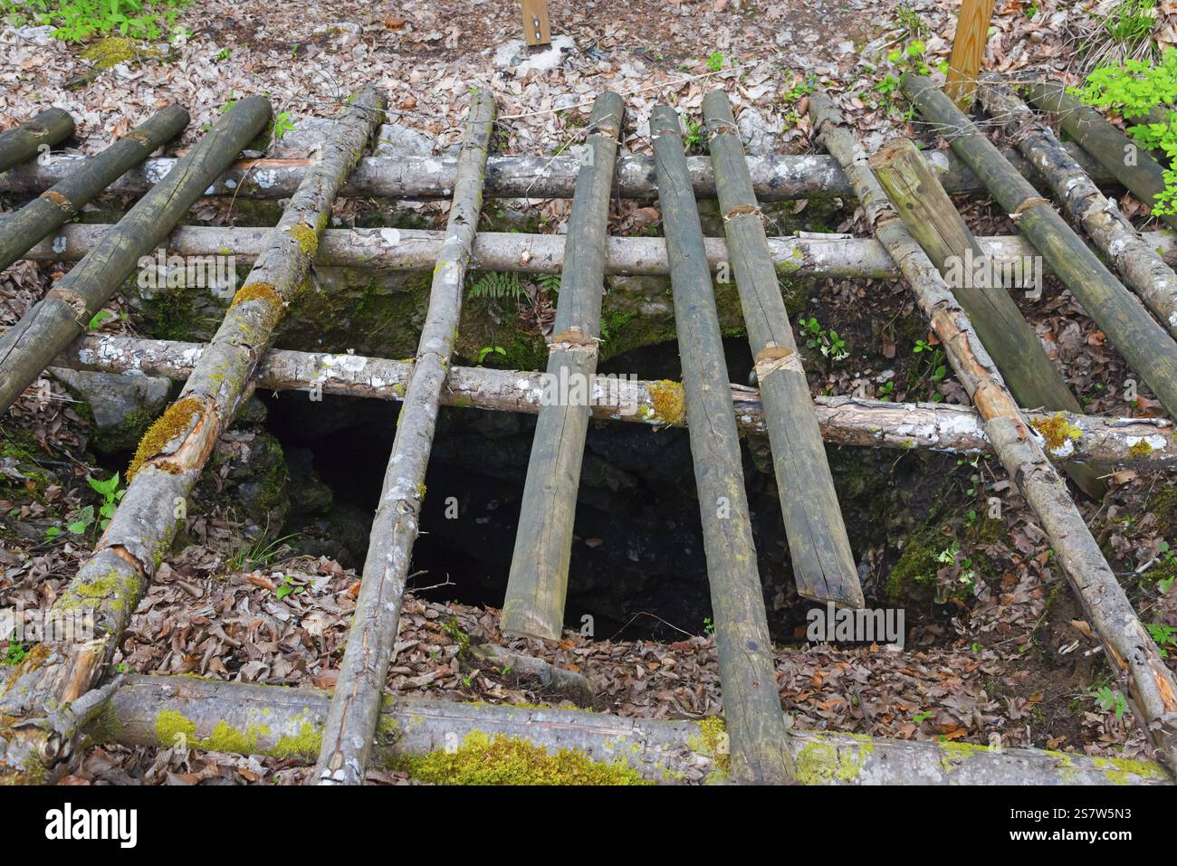Fosse cachée dans la forêt, couverte de bûches et de feuilles, crée un sentiment de danger, entrée à la fosse commune, Jama pod Krenom, mémoire de la masse mur Banque D'Images
