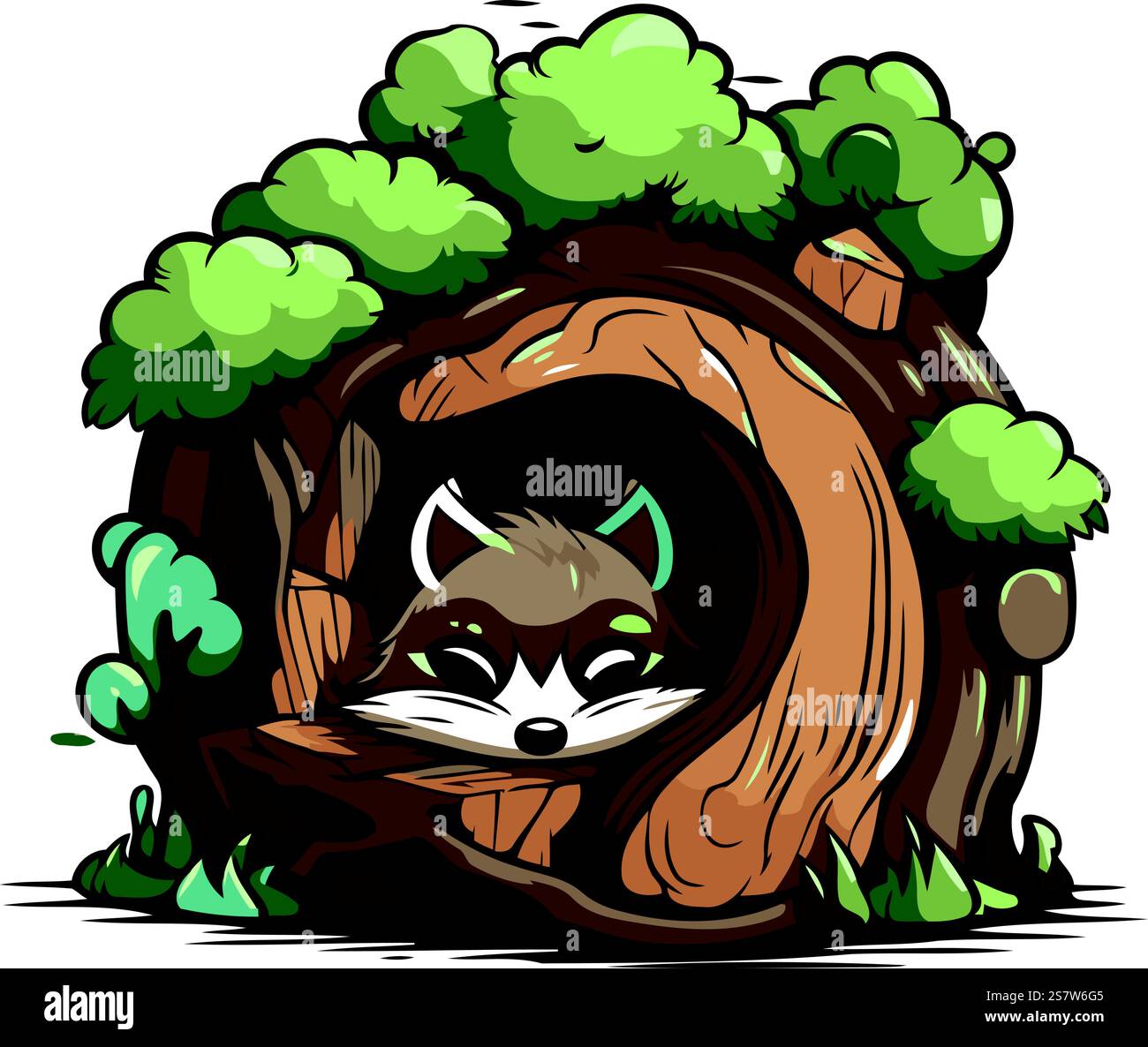 Raton laveur dans un trou dans l'arbre. Illustration vectorielle. Illustration de Vecteur Raton laveur dans un trou dans l'arbre. Illustration vectorielle. Illustration de Vecteur