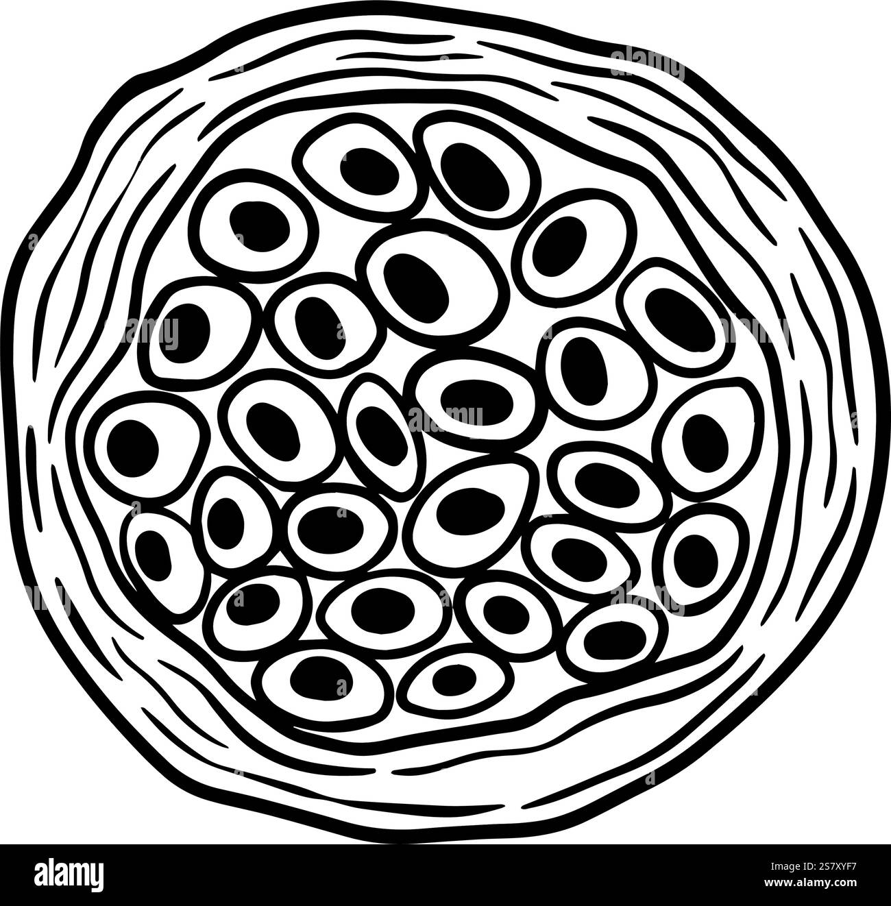 Illustration artistique abstraite en noir et blanc représentant une cellule ou un noyau complexe avec des structures circulaires. Graphiques dessinés à la main pour la conception de sites Web, articles, livret, étiquette ou publicité. Illustration de Vecteur