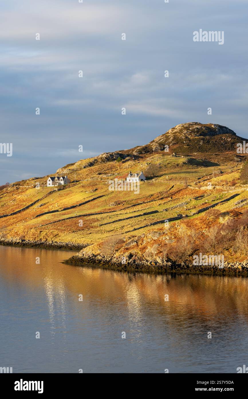 Un couple de maisons dans la lumière du soleil du soir sur la côte nord-ouest de l'Écosse, près du port de pêche de Kinlochbervie, juste au large de la côte nord 500. Banque D'Images