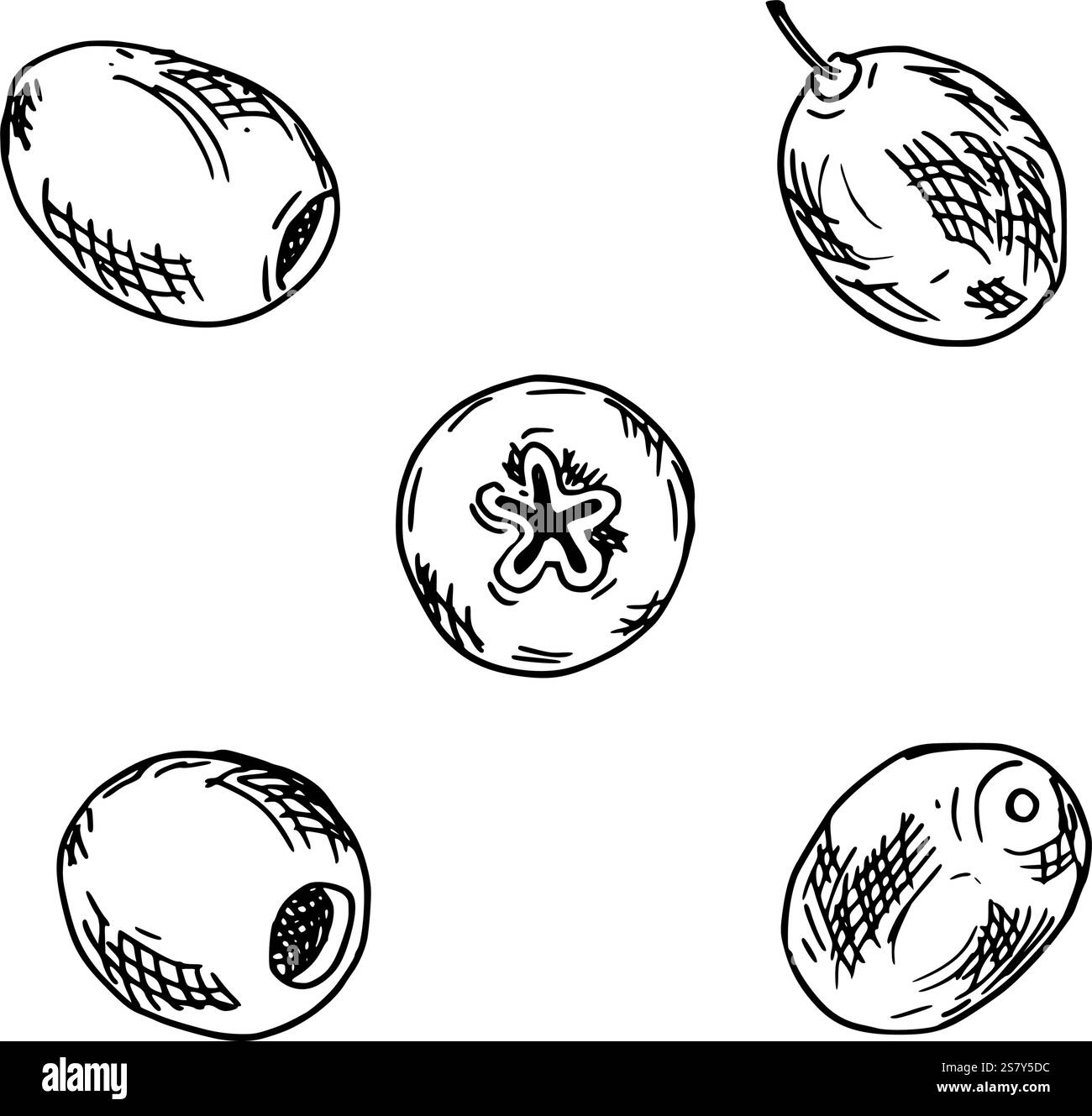 Olives ensemble isolé sur un fond. Illustration vectorielle dessinée à la main, esquisse linéaire. Peut être utilisé pour le menu, l'emballage du produit et la conception alimentaire Illustration de Vecteur