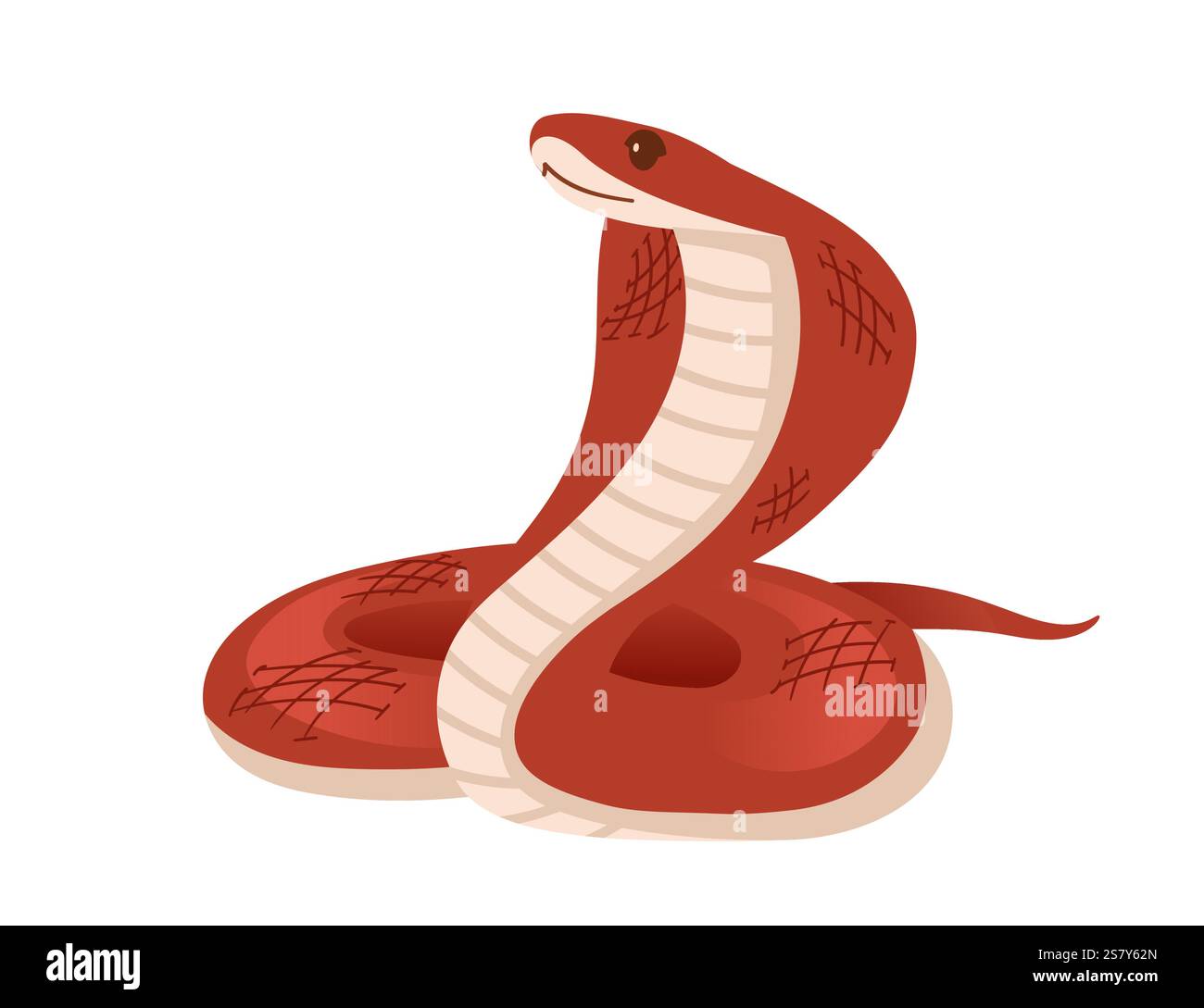 Cobra rouge enroulé avec sa capuche relevée et la langue sortie. Conception animale de dessin animé simple. Idéal pour les images de reptiles ou de faune. Illustration vectorielle isolée Illustration de Vecteur