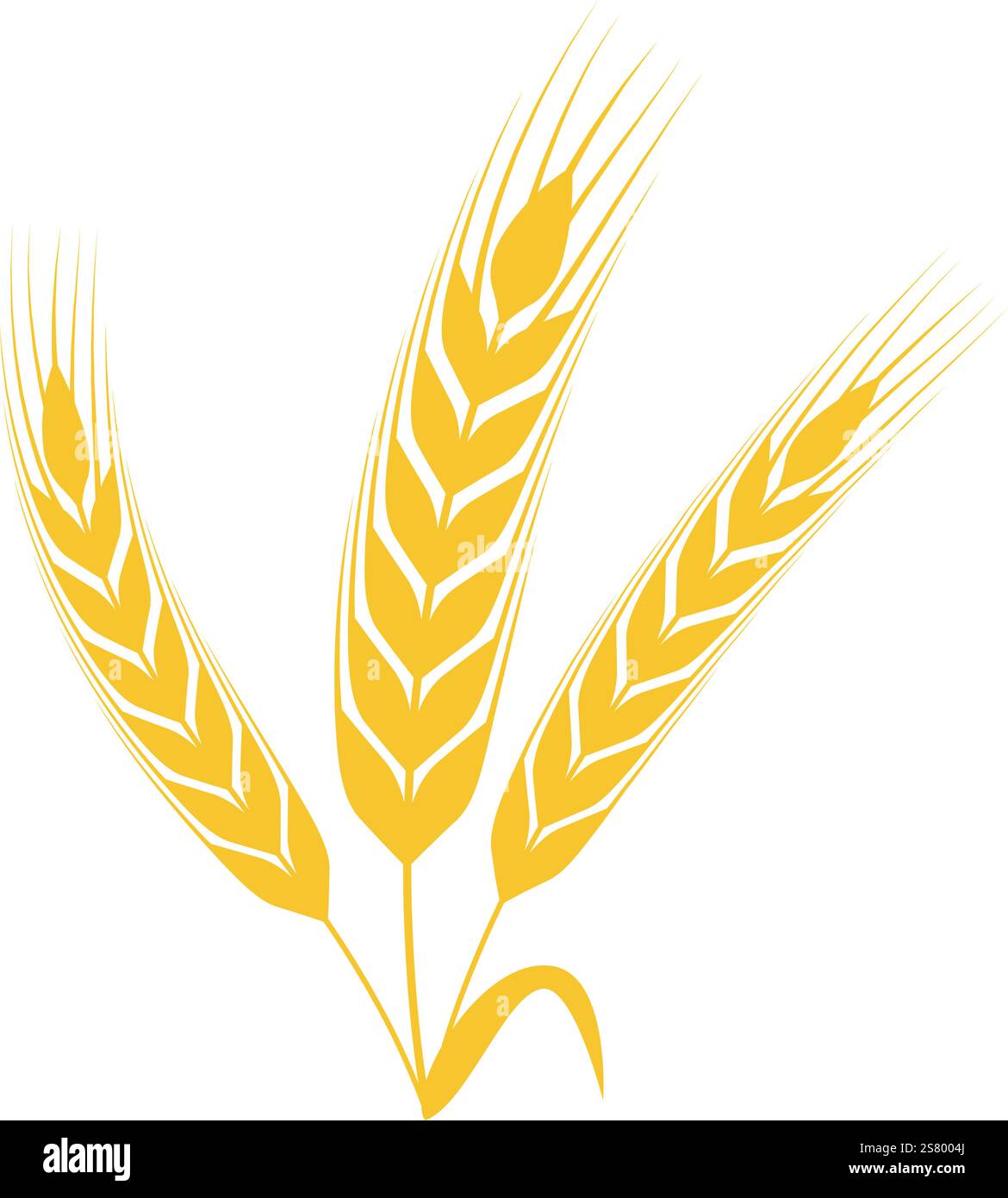 Trois épis stylisés de blé poussant ensemble sur un fond blanc, symbolisant l'agriculture, l'agriculture et la production essentielle de nourriture dans un design simple et minimaliste Illustration de Vecteur