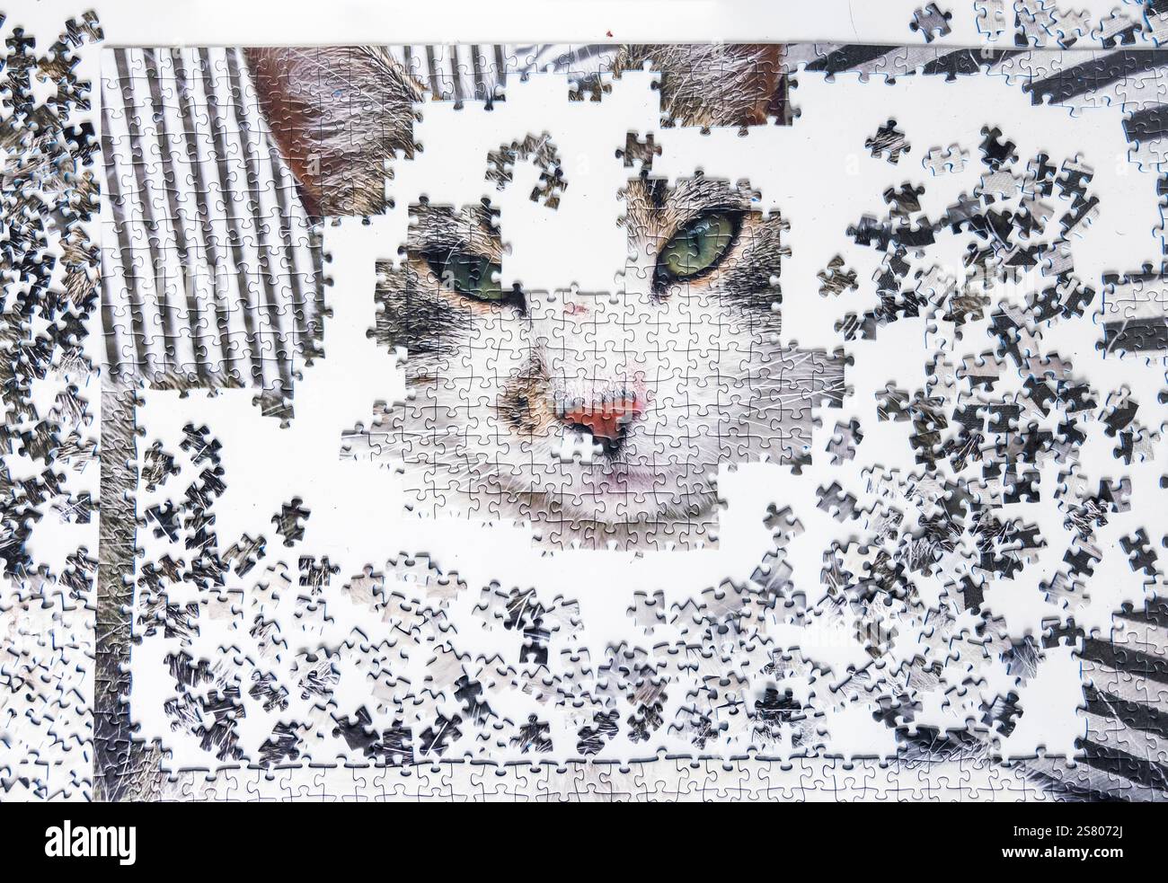 Un puzzle avec un motif chat. Banque D'Images