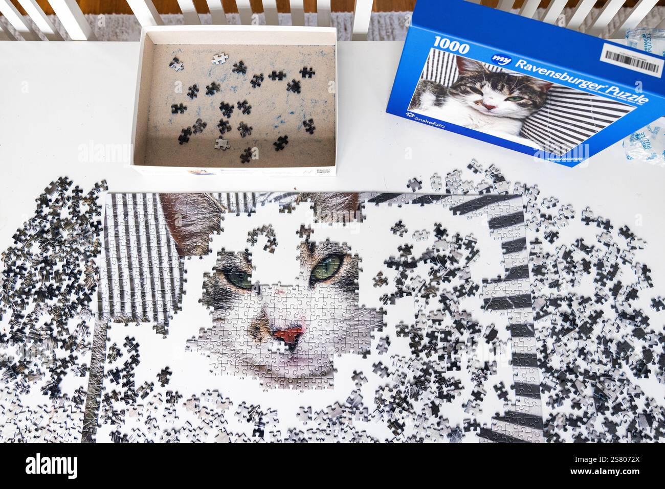 Un puzzle avec un motif chat. Banque D'Images