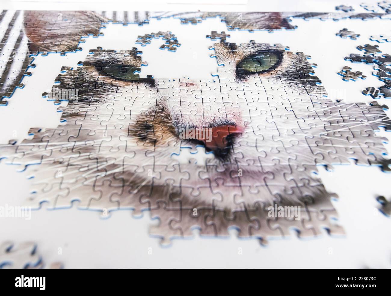 Un puzzle avec un motif chat. Banque D'Images
