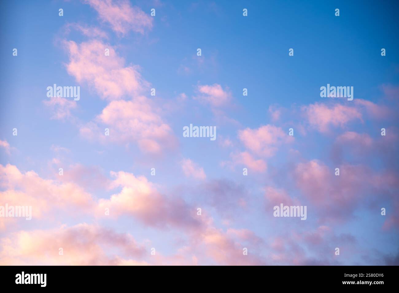 Les nuages roses dispersés dérivant à travers un ciel bleu vif créent une scène de coucher de soleil étonnante, rayonnant de tranquillité et de chaleur tout en invitant à une sensation de pe Banque D'Images