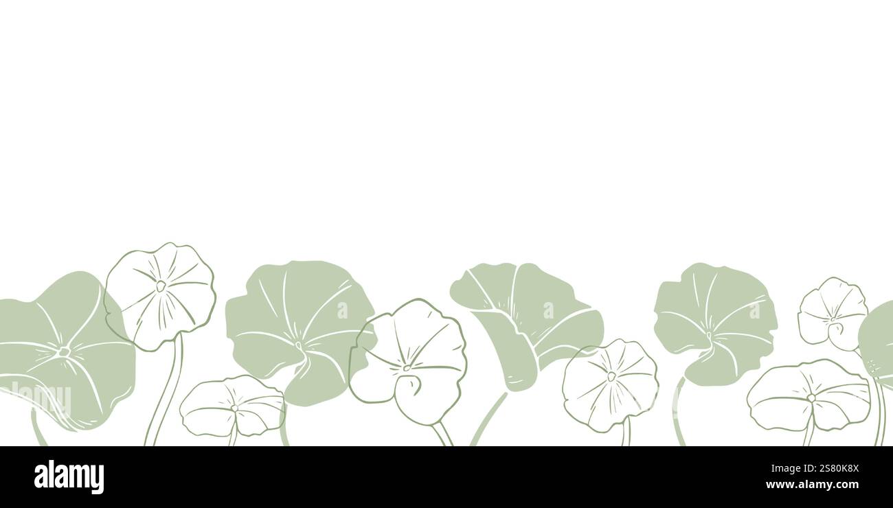 Centella asiatica dans des tons verts doux sur la bordure transparente de vecteur botanique. Silhouette Pennywort, feuilles arrondies gotu kola sur la main de bannière répétée Illustration de Vecteur