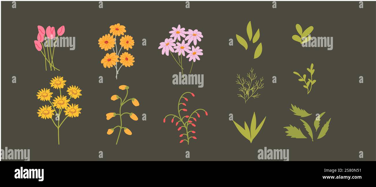 Illustration botanique colorée mettant en vedette diverses fleurs et feuilles. Illustration de Vecteur Illustration botanique colorée mettant en vedette diverses fleurs et feuilles. Illustration de Vecteur