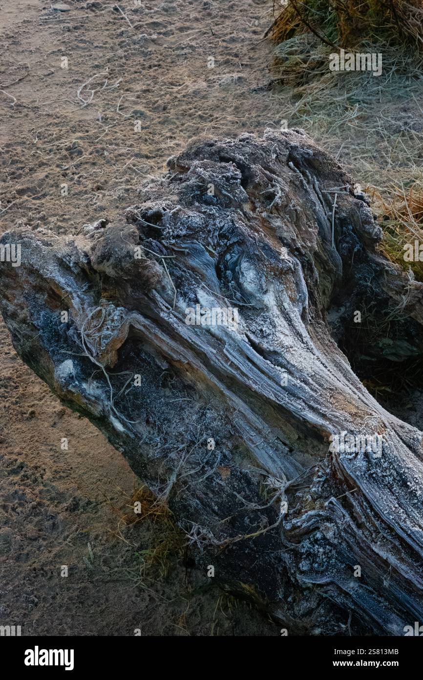 Bois de glissement givré Banque D'Images