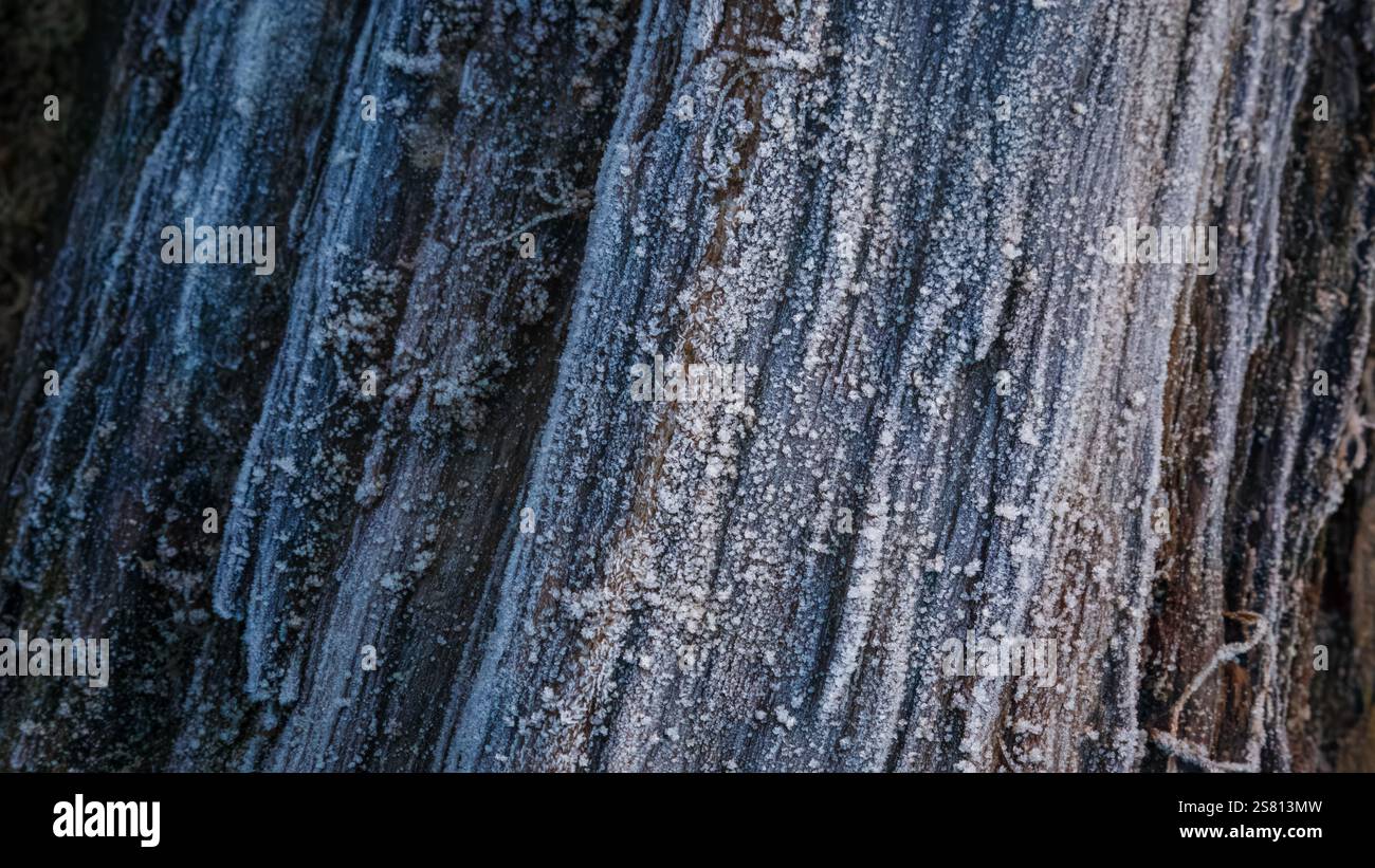 Bois de glissement givré Banque D'Images