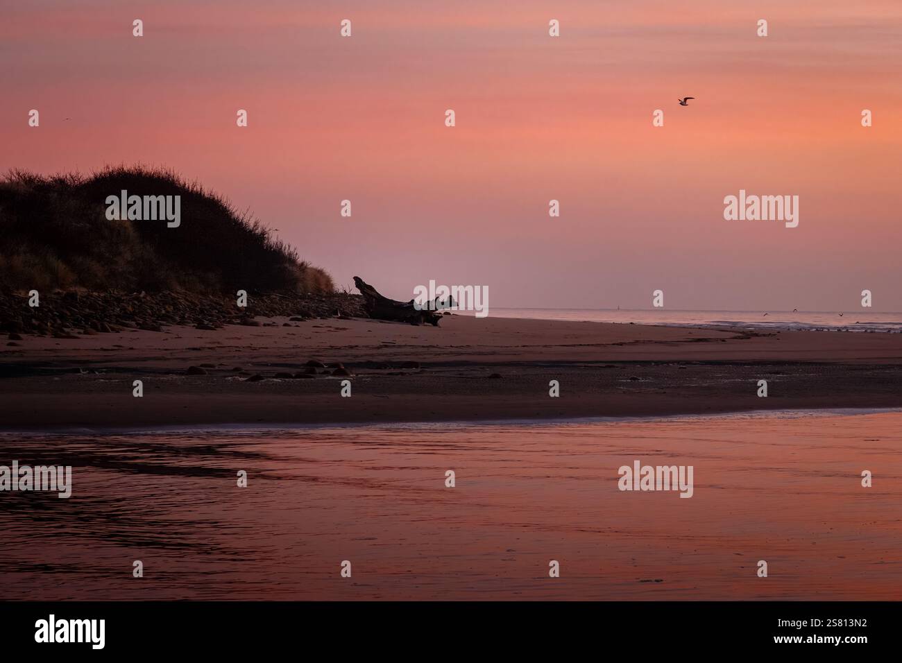 Bois de glissement givré Banque D'Images