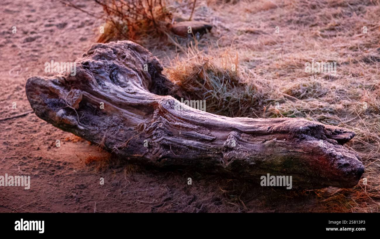 Bois de glissement givré Banque D'Images