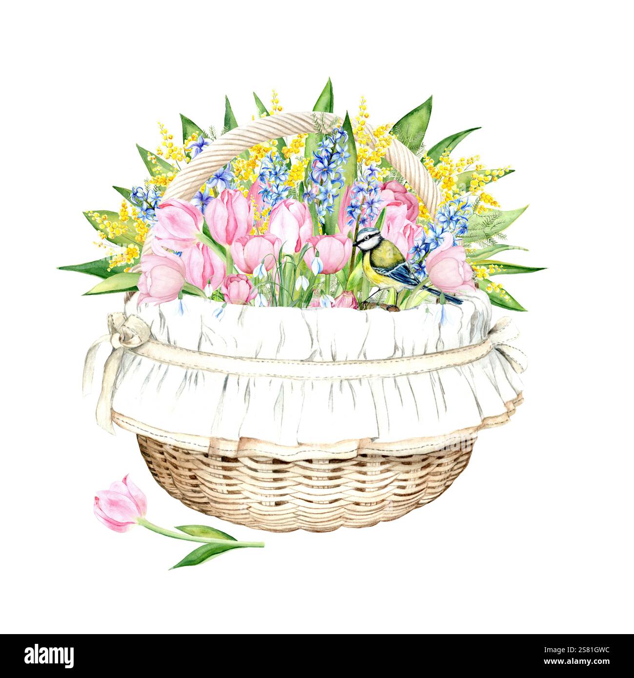 Charmante illustration aquarelle d'une composition printanière avec un panier rempli de tulipes roses, jacinthes bleues, gouttes de neige et mimosa jaune décoré d'œufs peints et d'une tulipe sur fond blanc Banque D'Images