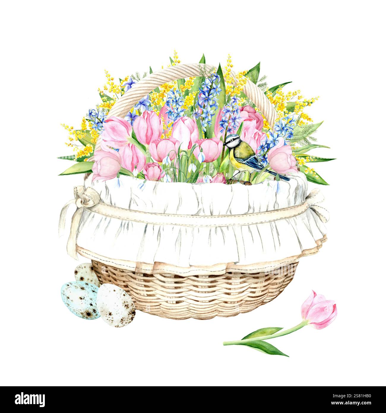 Charmante illustration aquarelle d'une composition printanière avec un panier rempli de tulipes roses, jacinthes bleues, gouttes de neige et mimosa jaune décoré d'œufs peints et d'une tulipe sur fond blanc Banque D'Images