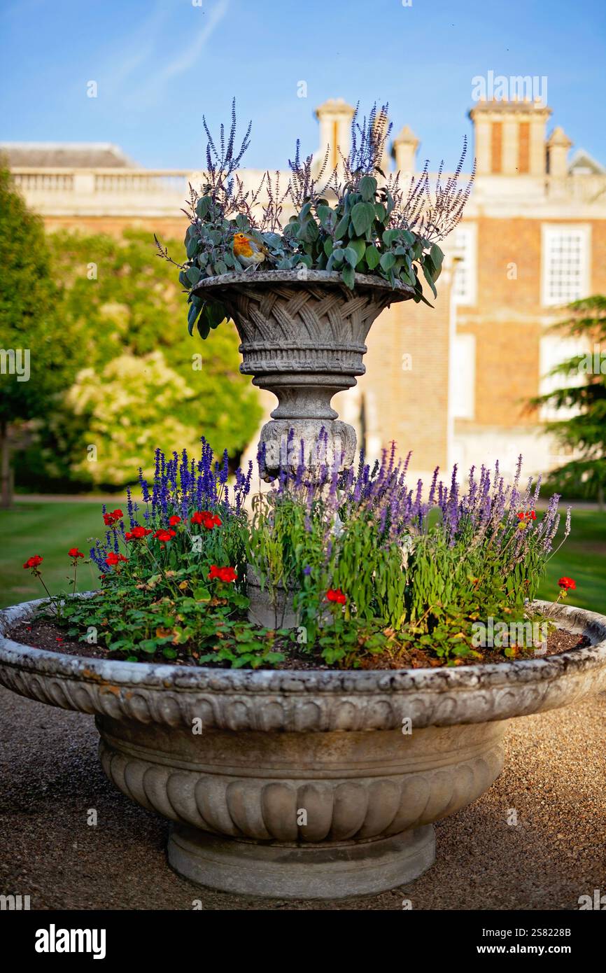 Élégante fontaine de jardin ornée de fleurs rouges et violettes éclatantes, sur fond architectural historique. Banque D'Images