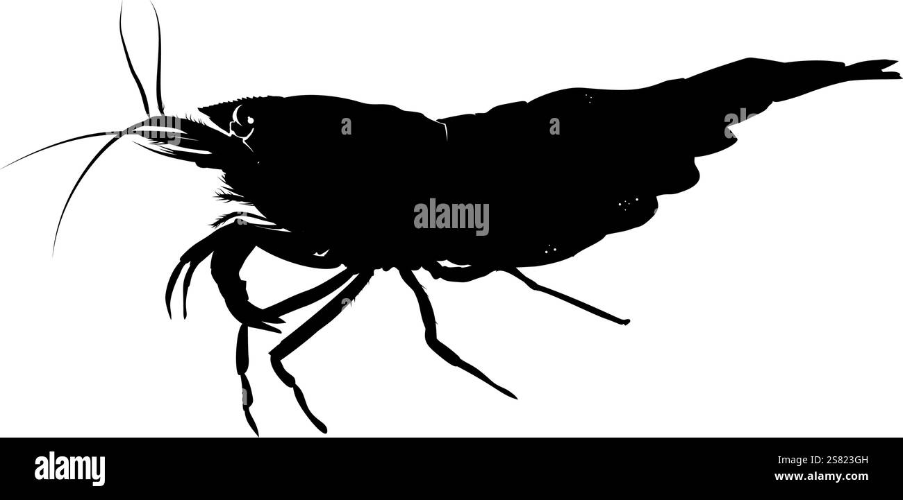 silhouette de crevettes, vue de côté Illustration de Vecteur