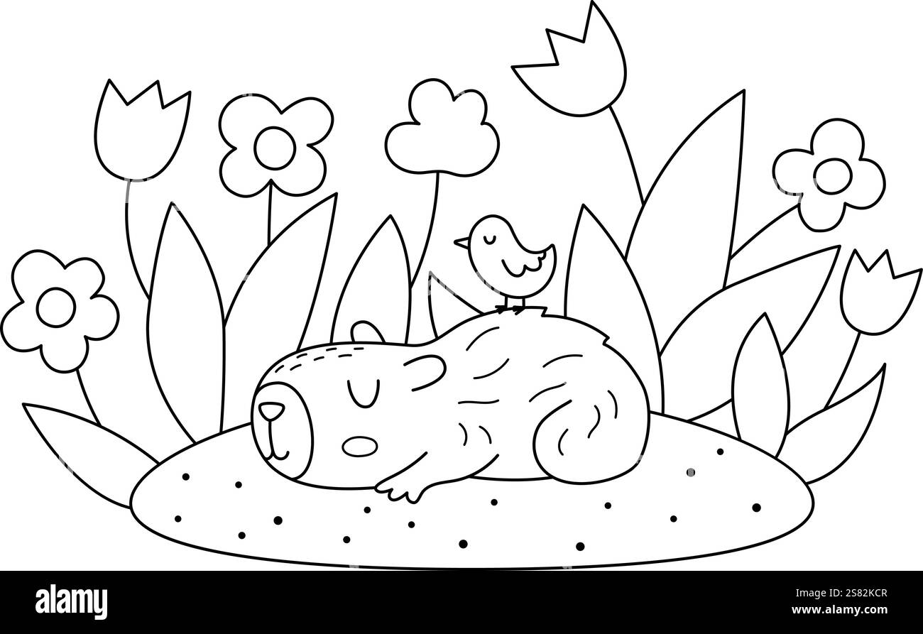 Icône capybara noir et blanc de vecteur. Mignon ligne capibara dormant sur le défrichement de fleurs avec oiseau sur son dos. Illustration animale drôle isolé sur whit Illustration de Vecteur