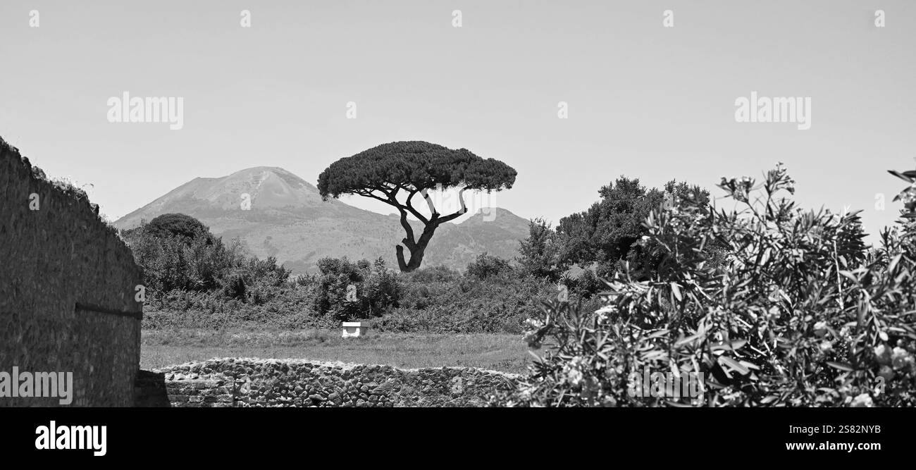 Vue sur le Vésuve depuis l'ancienne ville romaine de Pompéi Italie Banque D'Images