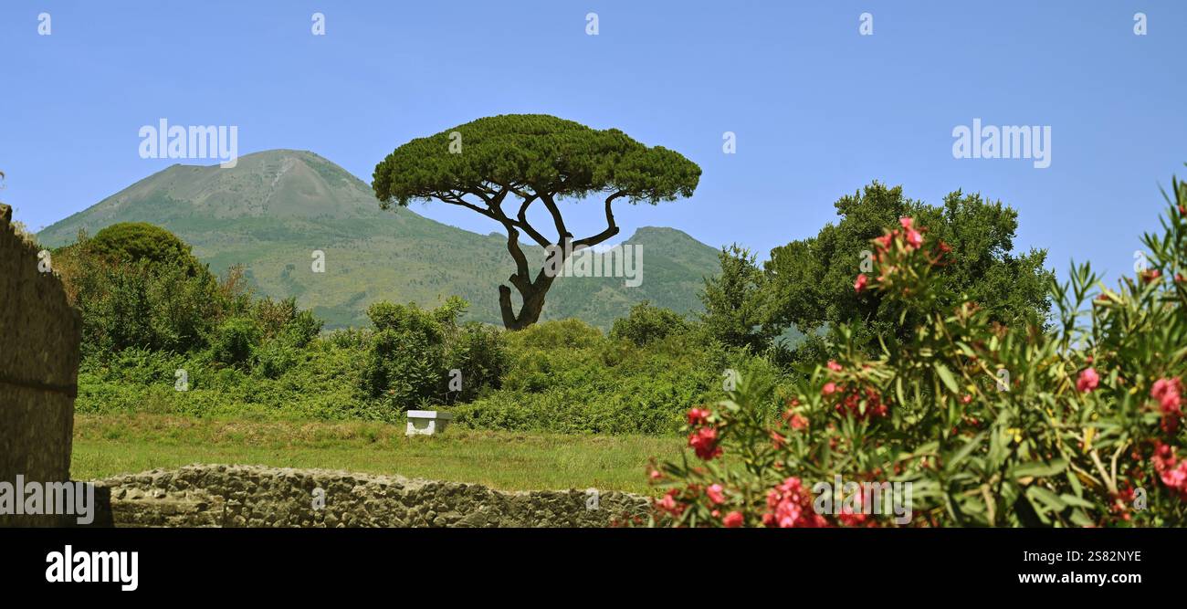 Vue sur le Vésuve depuis l'ancienne ville romaine de Pompéi Italie Banque D'Images
